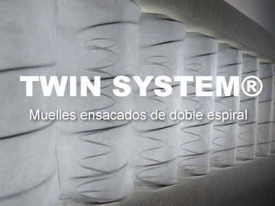 Tecnología Twin System